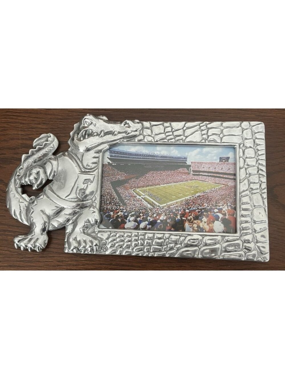 University of Florida GATORS Vintage Picture Frame Metal Stadium Photo Albert